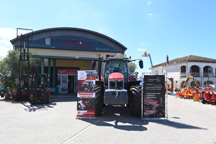 "TRATTORE MASSEY FERGUSON 7S.210"