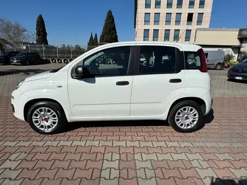 "Fiat New Panda 1.2 S.&S. E6D-TEMP EASY 5 POSTI GUIDABILE NEOPA"