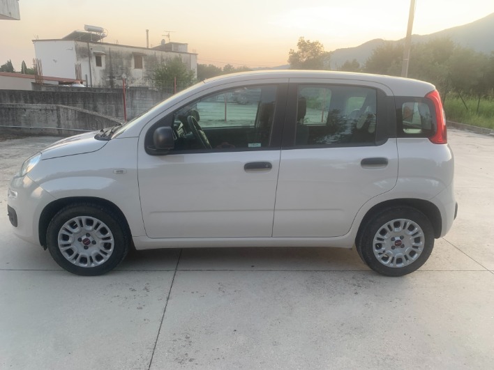 "Fiat Panda 1.2 70 cv Easy"