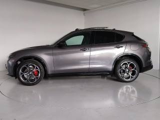 "ALFA ROMEO STELVIO 2.2 Turbo Diesel 190CV Business"