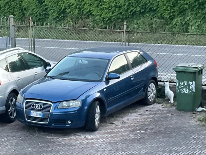 "Audi A3 2003 3p 1.6 DANNI GRANDINE"
