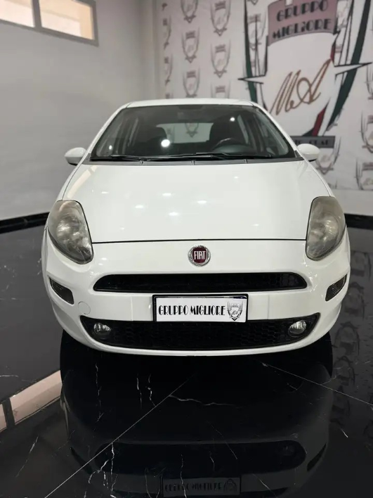 "Fiat Punto Evo Punto Evo 5p 1.3 mjt Dynamic eco s"