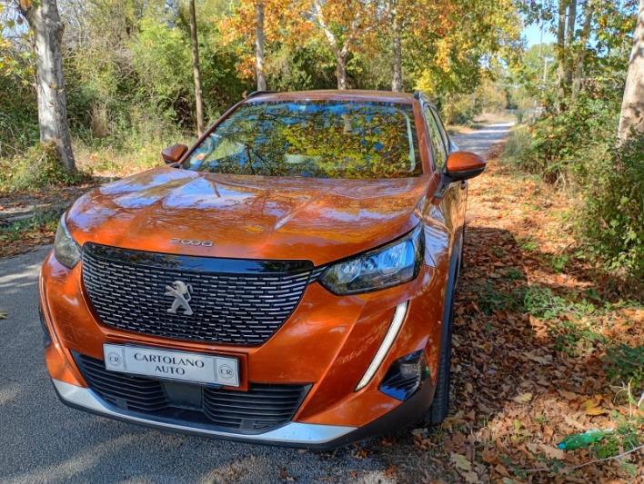 "Peugeot 2008 1.5 BlueHDi 110 CV"