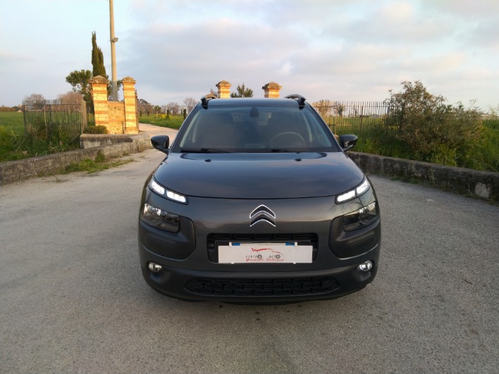 "CITROEN C4 CACTUS"