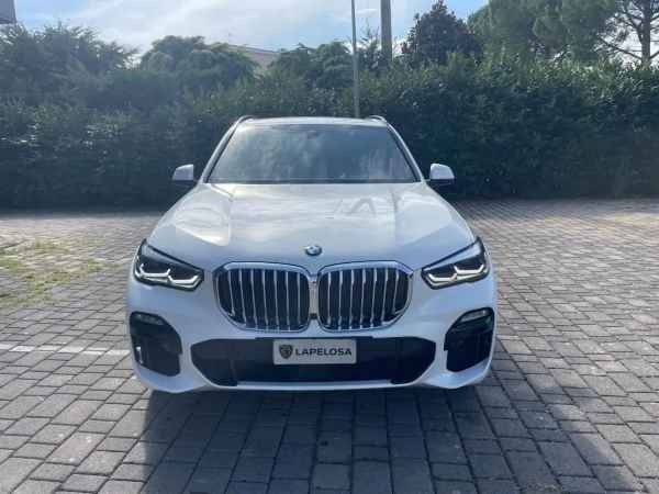 "BMW X5 xDrive30d Msport"