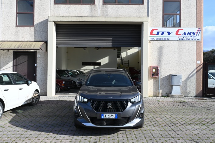 "PEUGEOT  2008 1.5 110 CV GT LINE"