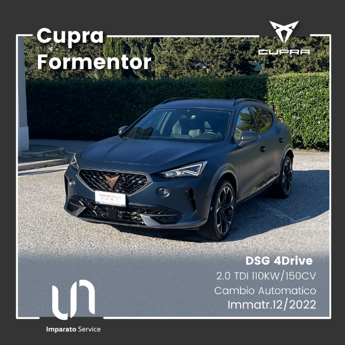 "Cupra Formentor 2.0 TDI DSG 4Drive 110KW\/150CV"