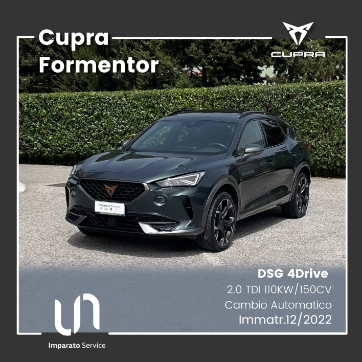 "Cupra Formentor 2.0 TDI DSG 4Drive 110KW\/150CV"