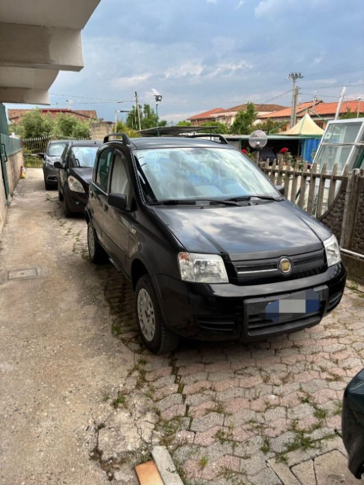 "Fiat panda"