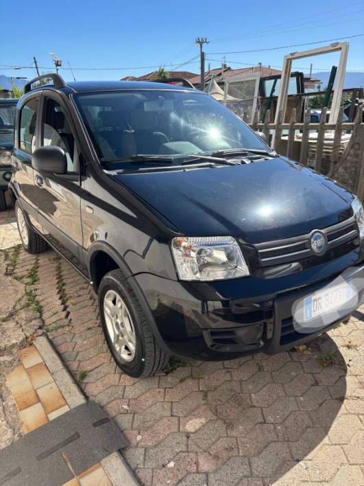 "Panda 4x4"