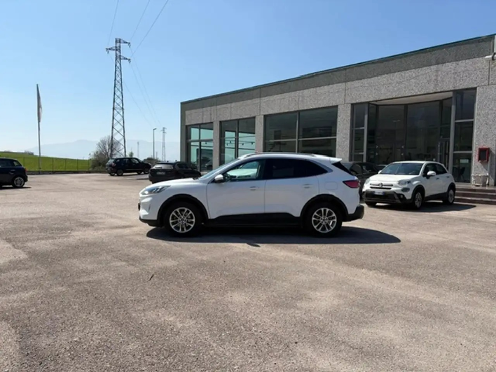 Ford Kuga Kuga III 2020 1.5 ecoblue Titanium 2wd 120cv auto - immagine 5