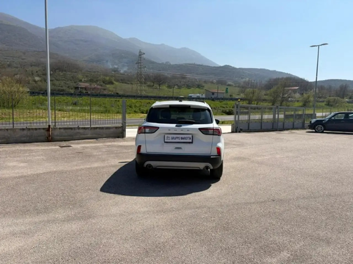 Ford Kuga Kuga III 2020 1.5 ecoblue Titanium 2wd 120cv auto - immagine 8