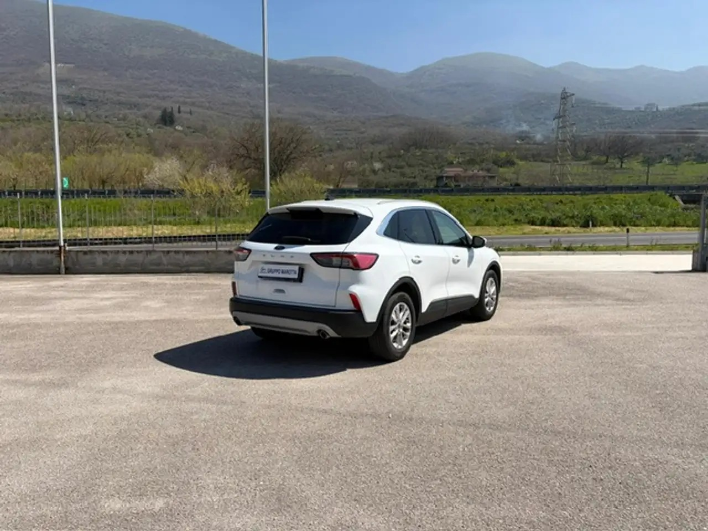 Ford Kuga Kuga III 2020 1.5 ecoblue Titanium 2wd 120cv auto - immagine 7