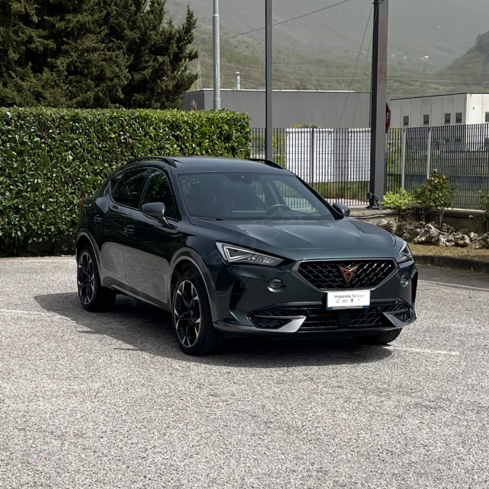 Cupra Formentor 2.0 TDI DSG 4Drive 110KW/150CV - immagine 2