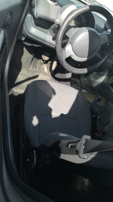 smart diesel - immagine 1