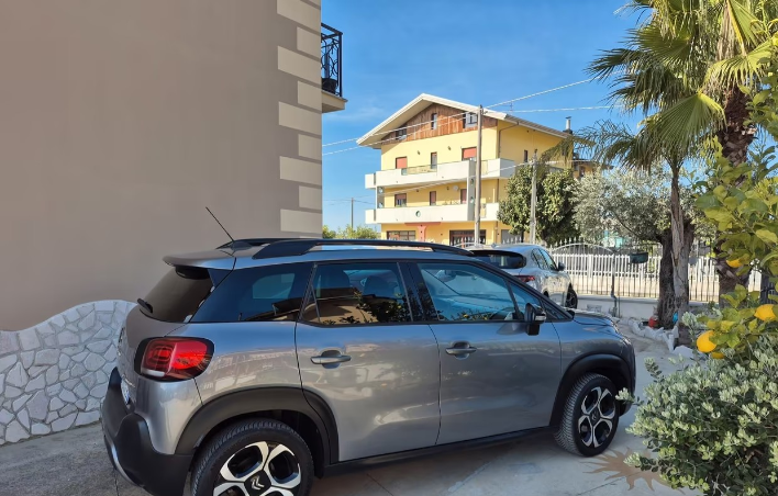 Citroen C3 Aircross BlueHDi 100 S&S Live - immagine 15