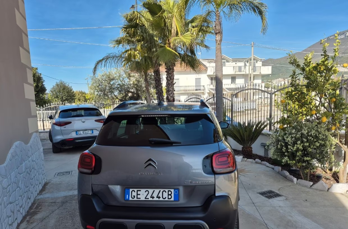 Citroen C3 Aircross BlueHDi 100 S&S Live - immagine 10