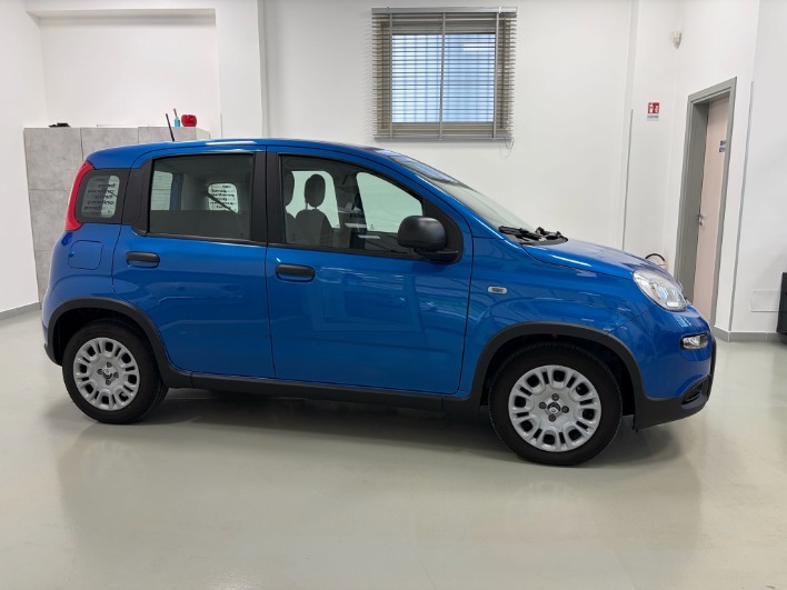 Fiat Panda Pandina III 2025 1.0 firefly hybrid solo 8.000km - immagine 3