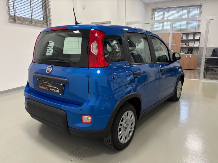 Fiat Panda Pandina III 2025 1.0 firefly hybrid solo 8.000km - immagine 4