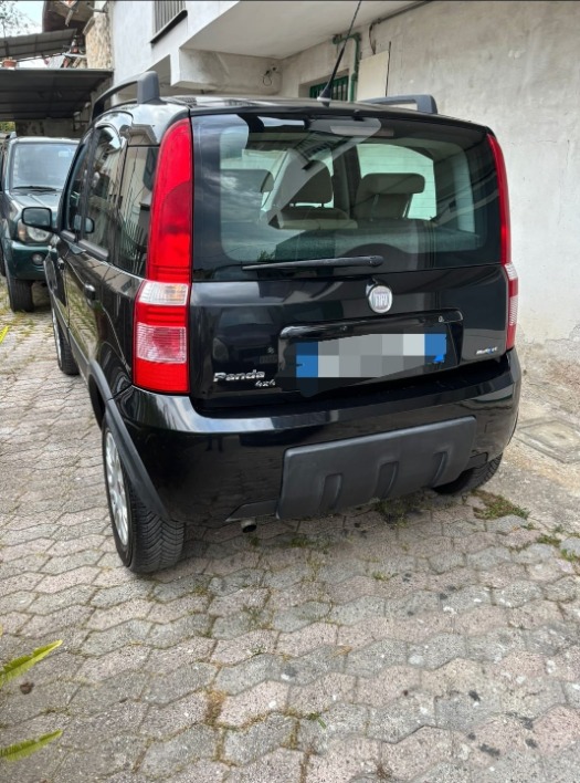 Fiat panda - immagine 2