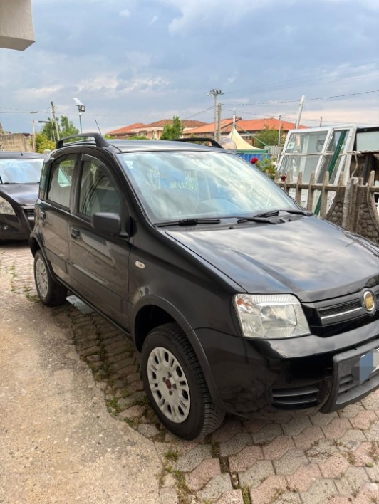 Fiat panda - immagine 1