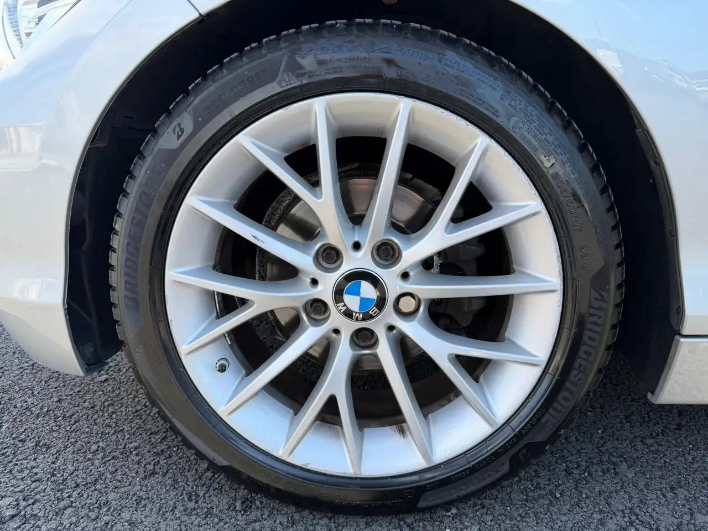 BMW 116 116d Advantage 5p - immagine 2
