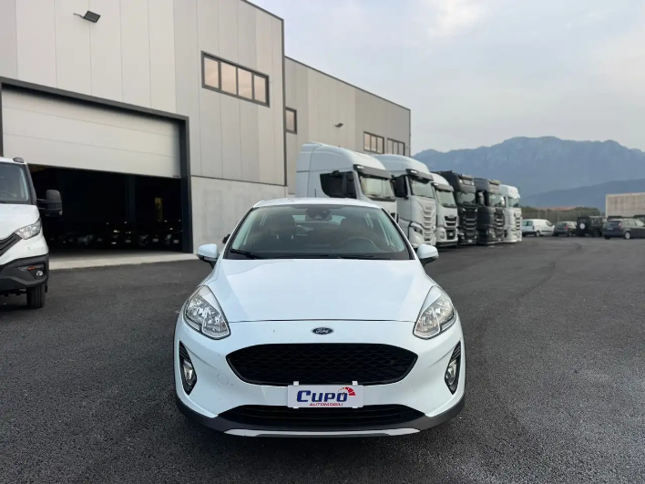 Ford Fiesta Fiesta Active 1.0 ecoboost s - immagine 14