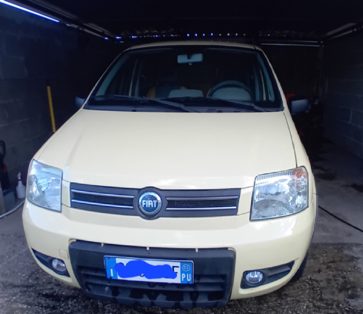 fiat panda 4x4 climbing GPL 1.2 - immagine 2