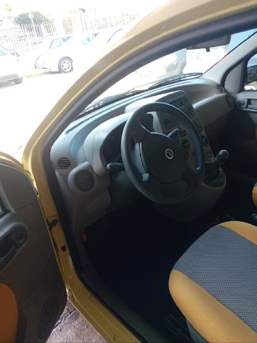 fiat panda 4x4 climbing GPL 1.2 - immagine 4