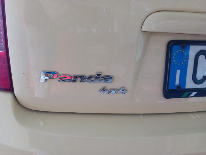 fiat panda 4x4 climbing GPL 1.2 - immagine 6