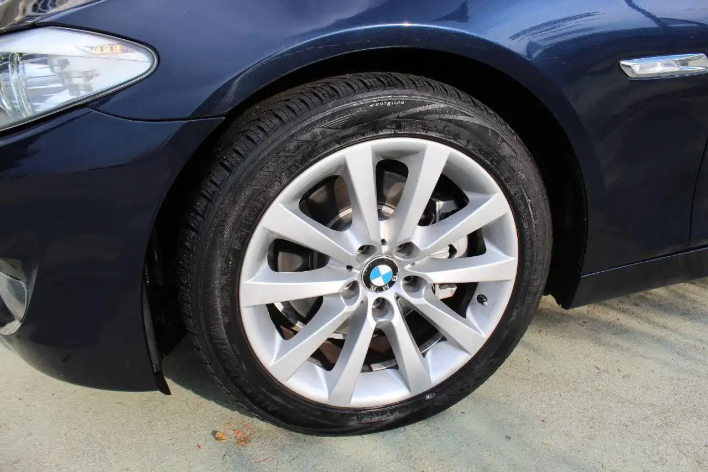BMW 520 520d Futura - immagine 12