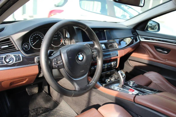BMW 520 520d Futura - immagine 4