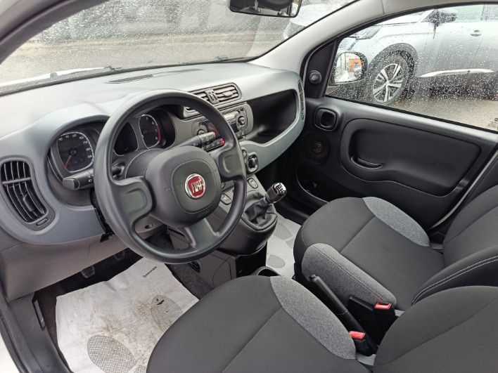 FIAT PANDA 1.0 FIREFLY 70 CV S&S HYBRID - immagine 2