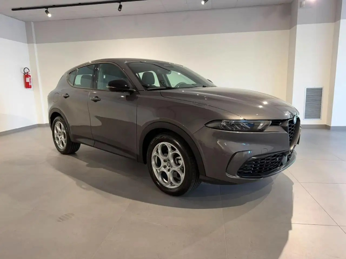 Alfa Romeo Tonale 1.6 diesel 130 CV TCT6 - immagine 12