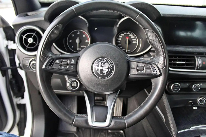 Alfa Romeo Stelvio 2.2 T.diesel 190 CV AT8 Q4 Bus. - immagine 2