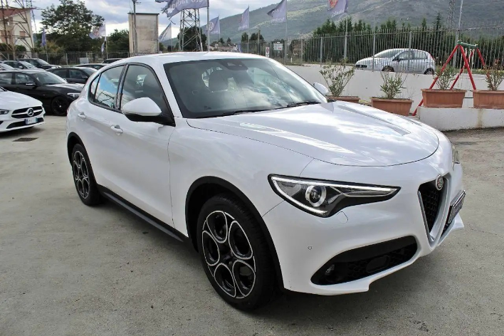 Alfa Romeo Stelvio 2.2 T.diesel 190 CV AT8 Q4 Bus. - immagine 12