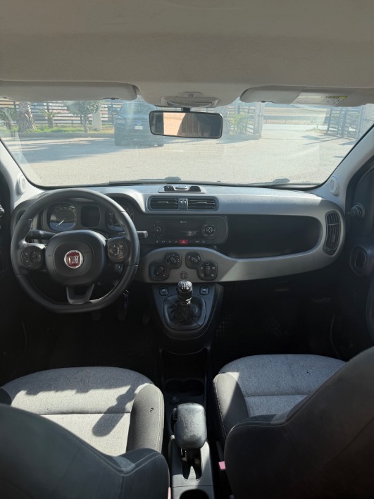 FIAT PANDA 1.2 2017 - immagine 3