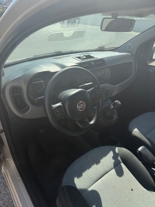 FIAT PANDA 1.2 2017 - immagine 2