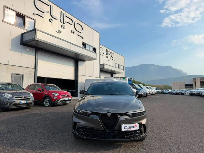 Alfa Romeo Tonale Tonale 1.6 Sprint 130cv tct6 AUTOCARRO N1 4 POSTI - immagine 11