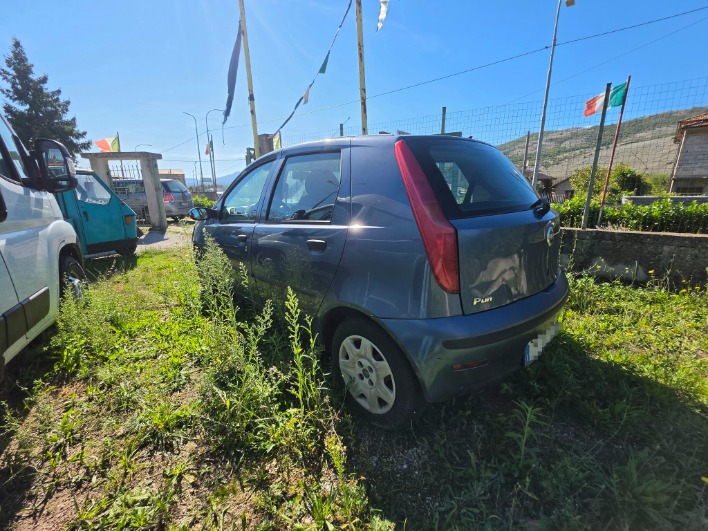 FIAT PUNTO 1.2 80 CV  16 V - immagine 3