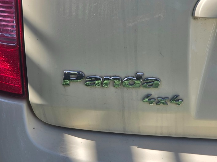 FIAT PANDA 4X4 1.2  60CV - immagine 3