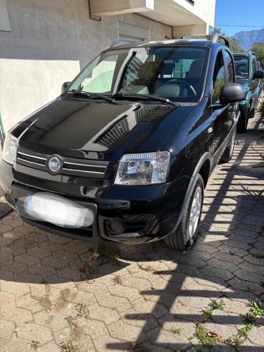 Panda 4x4 - immagine 1