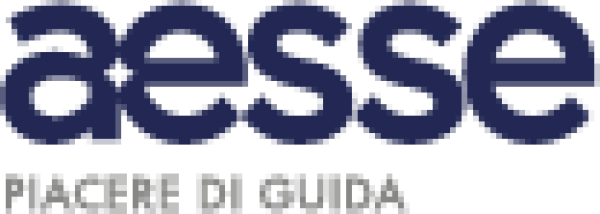AESSE SERVICE SRL