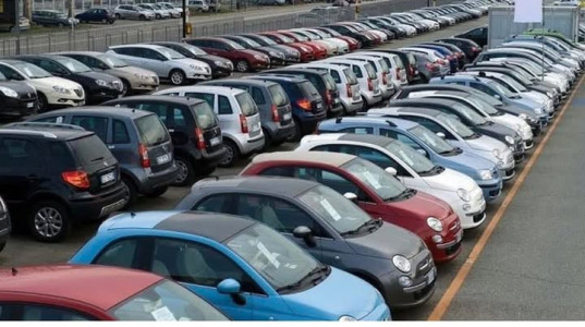 Cotignola di Giuseppe Cotignola